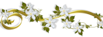 séparation (2)